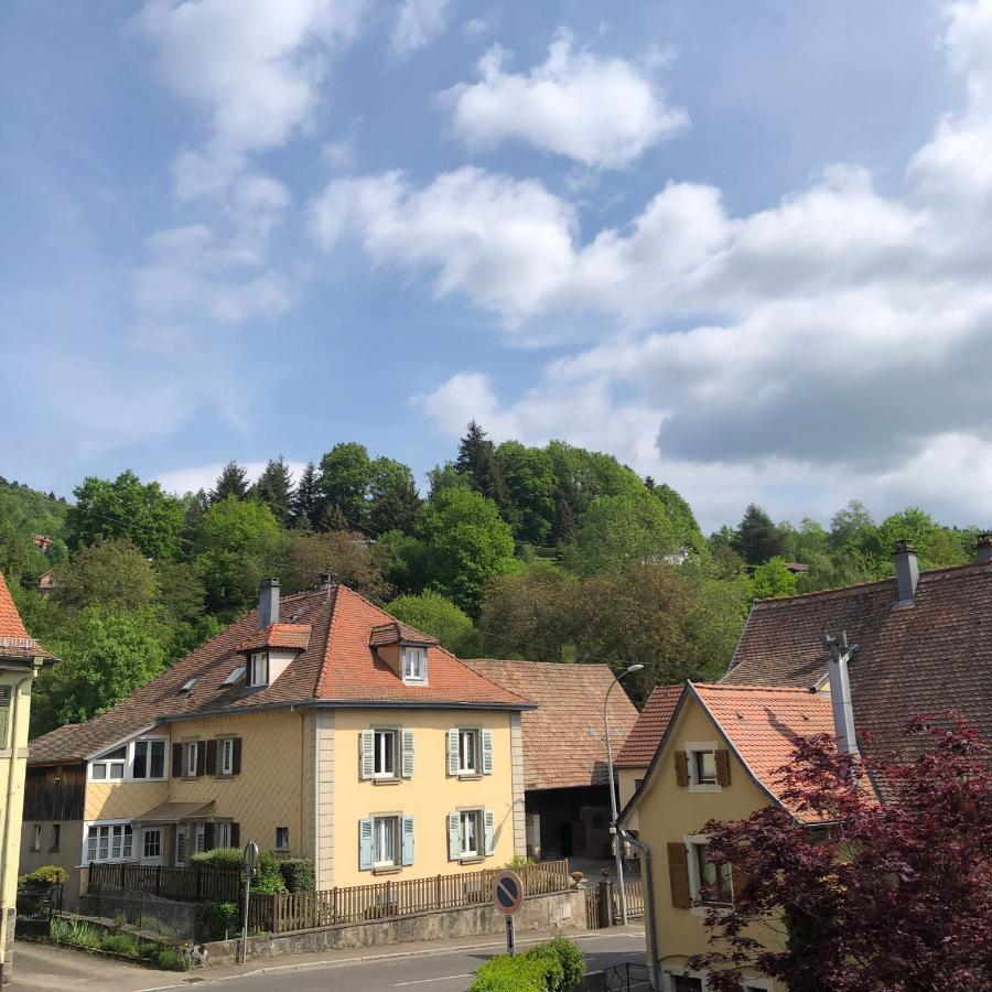 Appartement Vintage A L Ancienne Forge Muhlbach-sur-Munster Zewnętrze zdjęcie