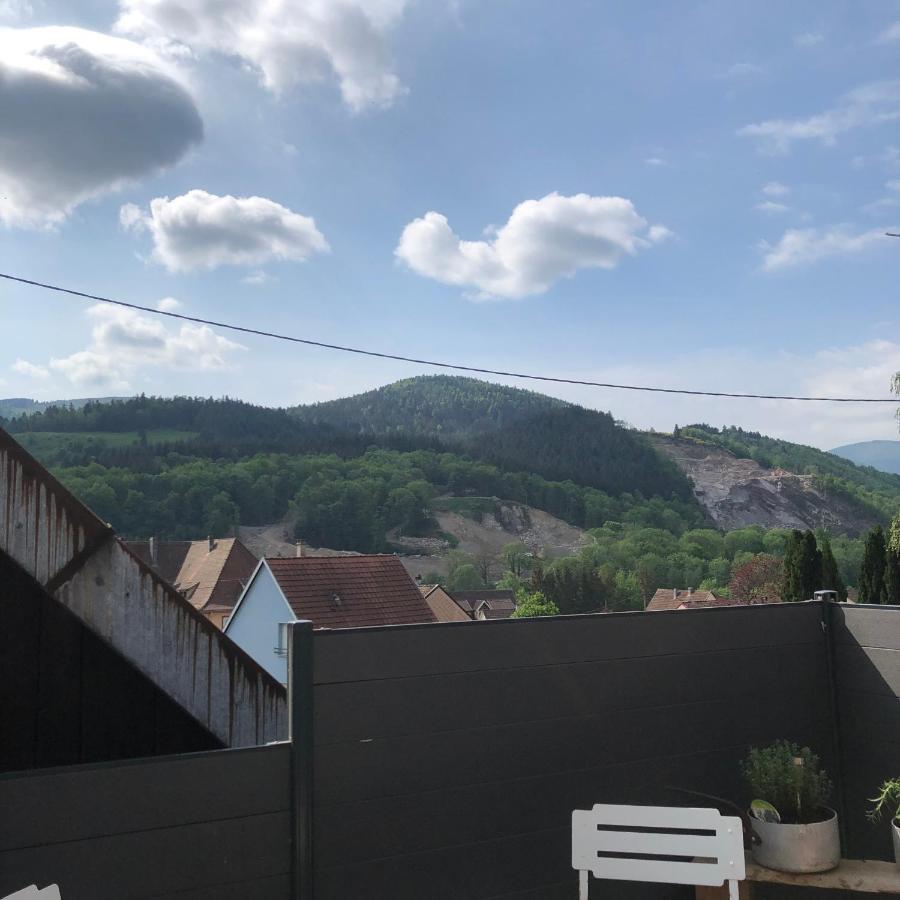 Appartement Vintage A L Ancienne Forge Muhlbach-sur-Munster Zewnętrze zdjęcie